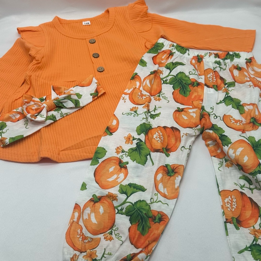 Baby Girl Fall Floral Outfit with headband,pumpkin patch baby girl outfit,Fall